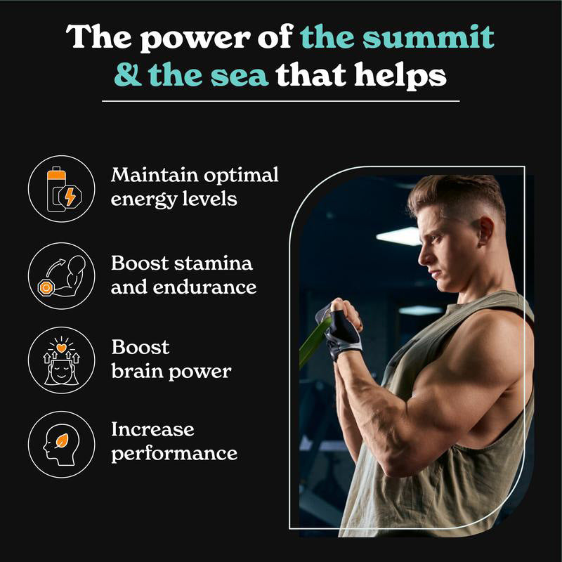 Gold+ ShilajitCapsules